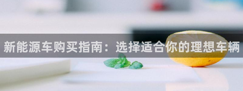 新宝gg 创造
