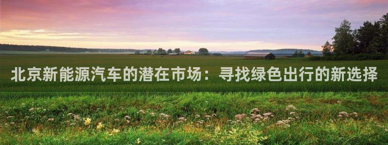 新宝gg主管都是谁