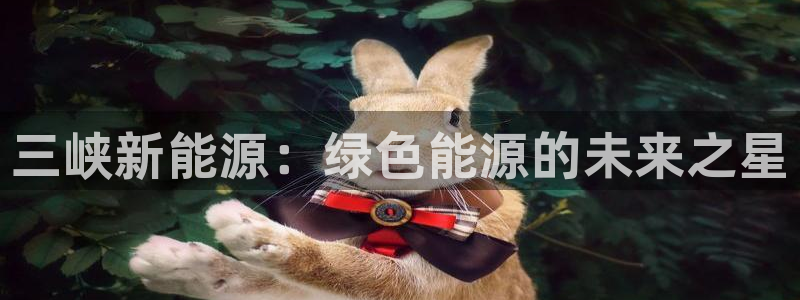 新宝gg手机