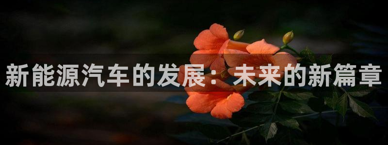 新宝gg为什么没人管
