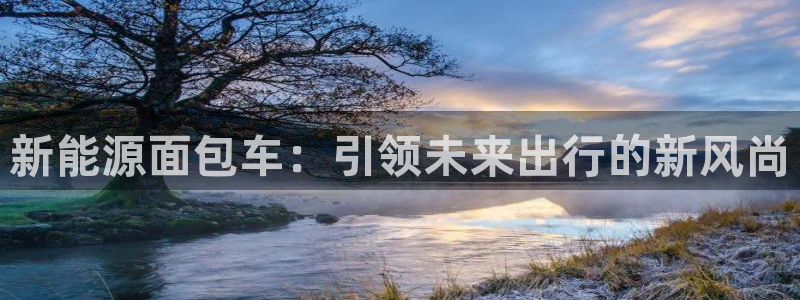 新宝gg公司