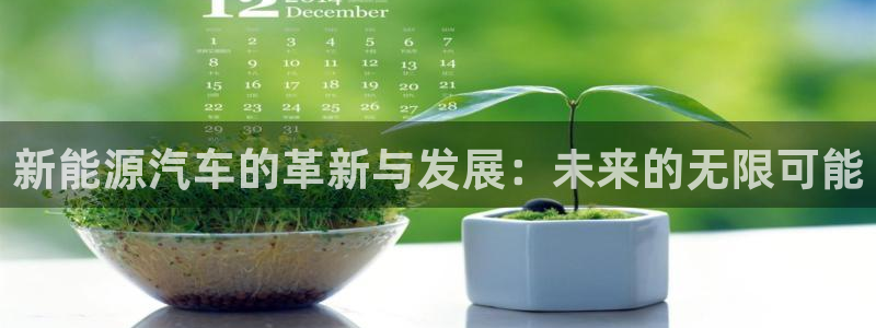 新宝gg入口网址