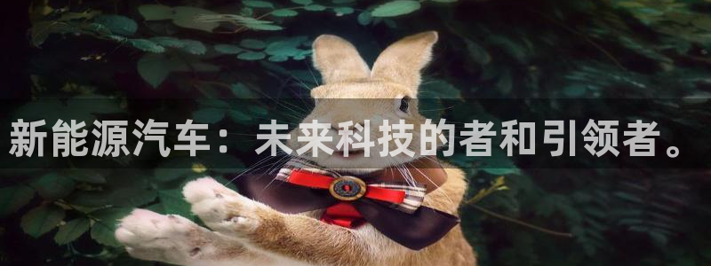 新宝gg注销