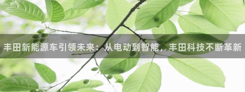 新宝gg创造