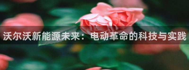 gg新宝时时彩