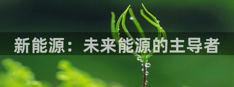 新宝gg画