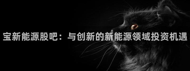 新宝gg作弊