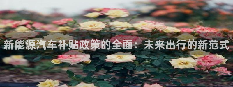 新宝gg辅助