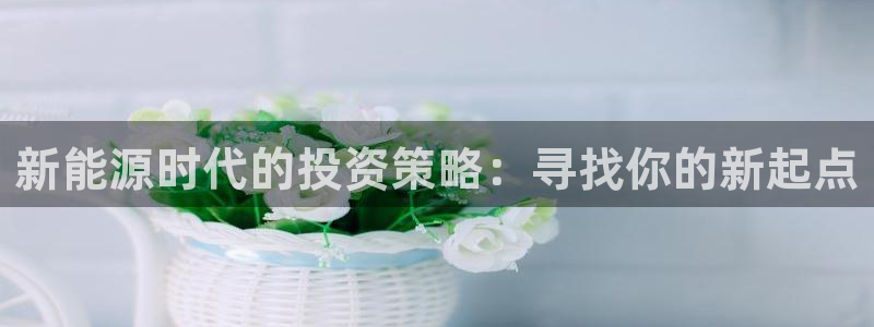 新宝gg提点