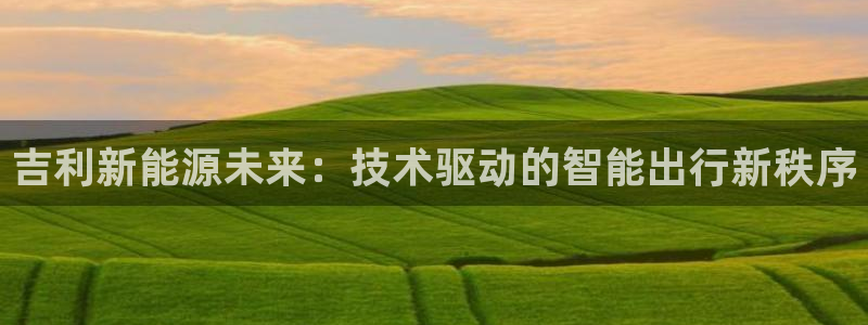 新宝gg助手