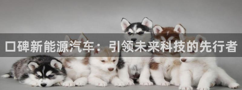 新宝 gg 总代理