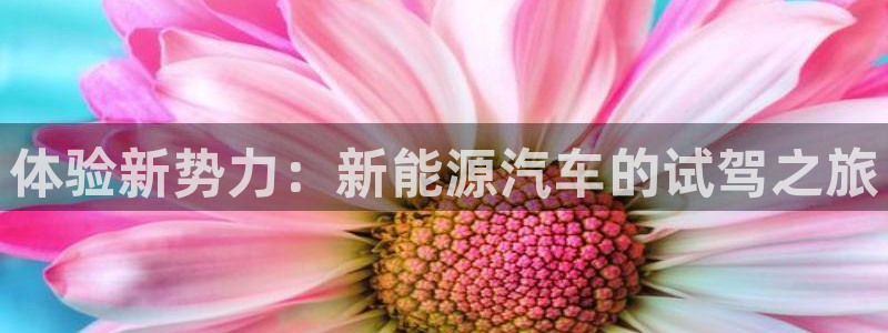 新宝6新宝gg