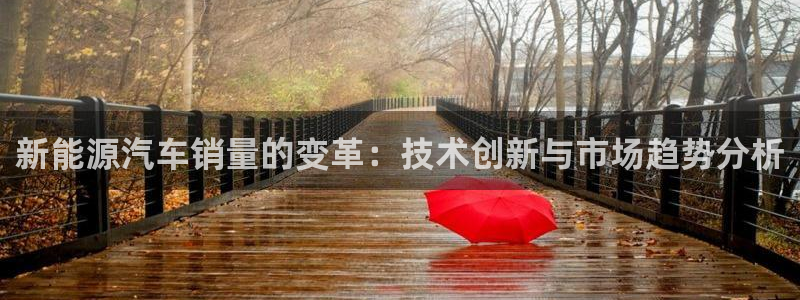 新宝 gg：新能源汽车销量的变革：技术创