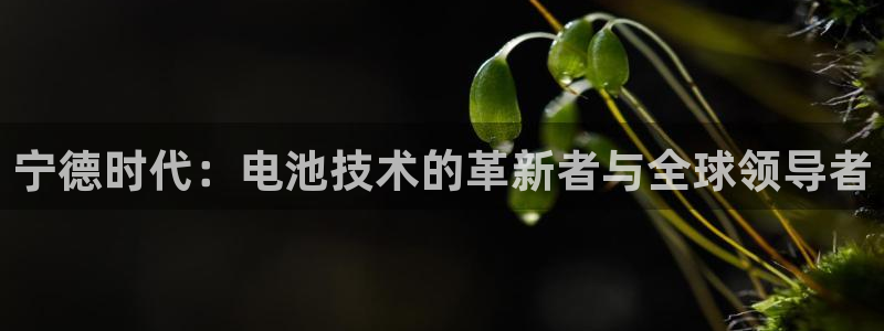 新宝gg主管baidu：宁德时代：电池技