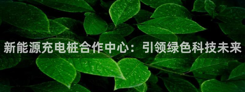 新宝gg官方注册找上级：新能源充电桩合作