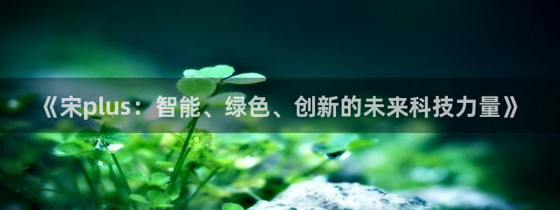 新宝gg娱乐：《宋plus：智能、绿色、