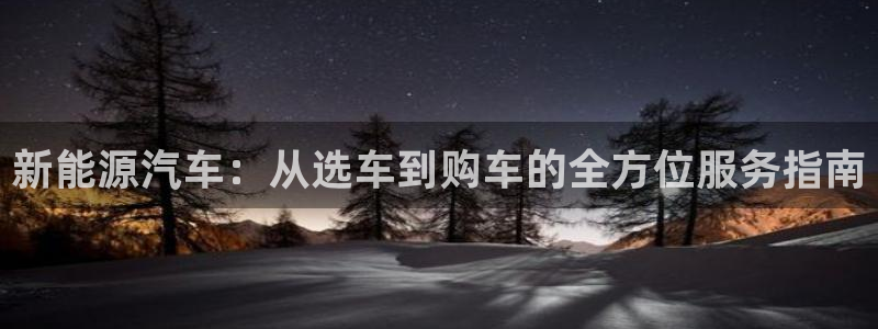 66新宝gg：新能源汽车：从选车到购车的