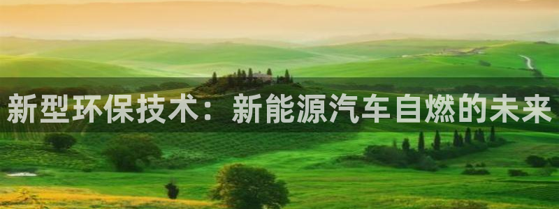 新宝GG握78778：新型环保技术：新能