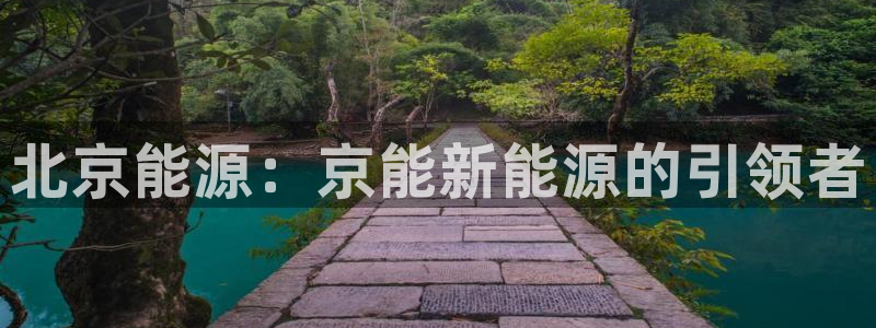 重庆新宝gg：北京能源：京能新能源的引领