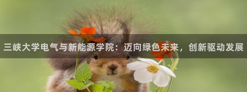 新宝gg手机