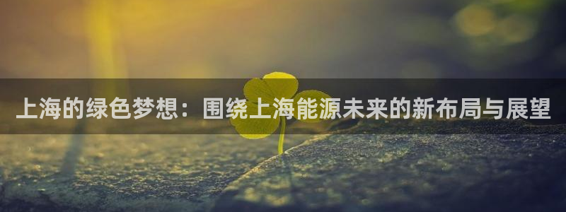 新宝gg老板