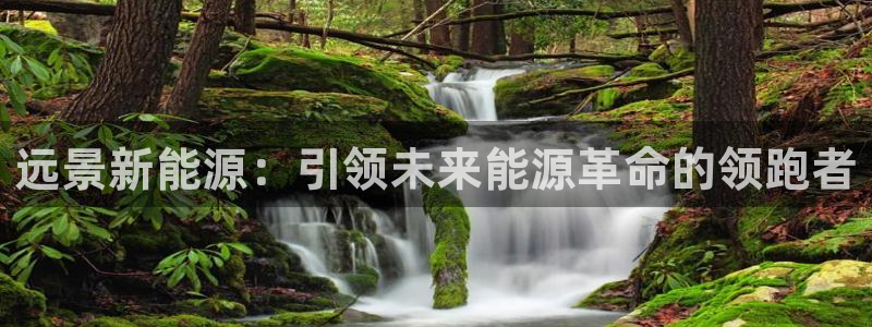 新宝gg挂机app：远景新能源：引领未来