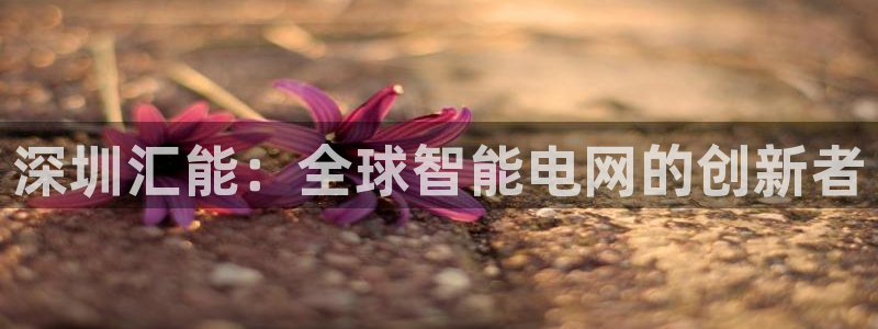 新宝GG国际：深圳汇能：全球智能电网的创