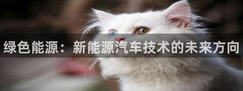 新宝 gg 登录：绿色能源：新能源汽车技