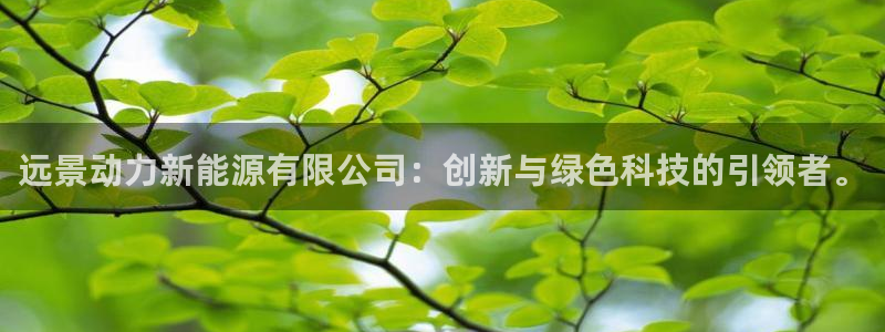 新宝六与新宝gg