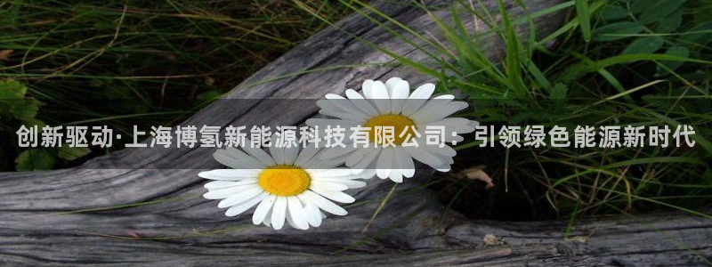 新宝gg如何