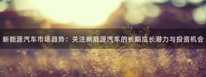 新宝gg怎么样