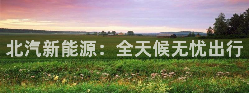 新宝GG勒55312：北汽新能源：全天候