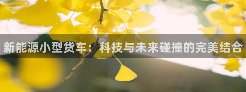 娱乐世界新宝gg：新能源小型货车：科技与