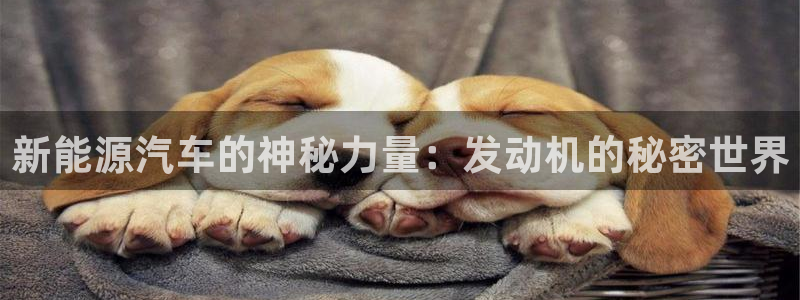 新宝GG之家：新能源汽车的神秘力量：发动