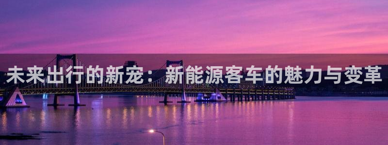 新宝gg公司