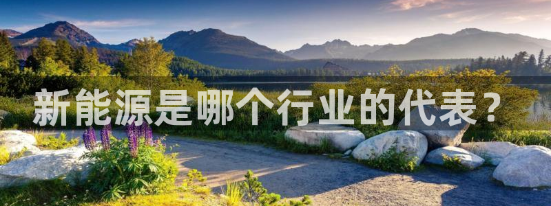 新宝gg奖金