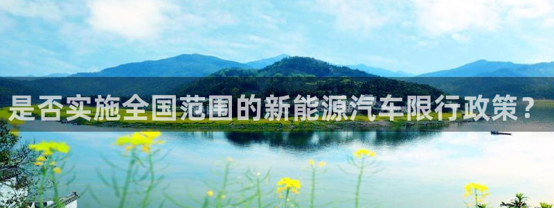 新宝GG玩家