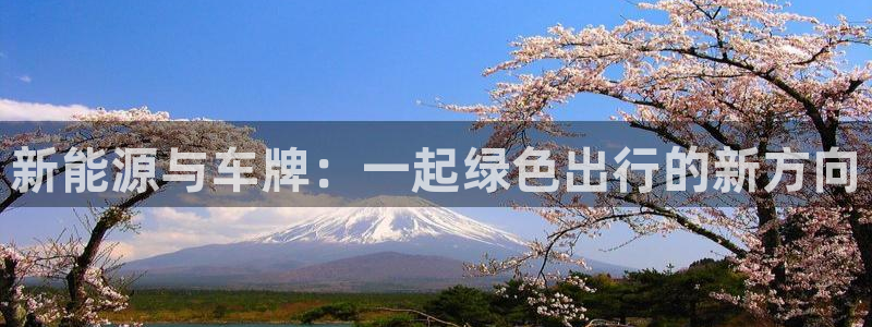 新宝GG上级