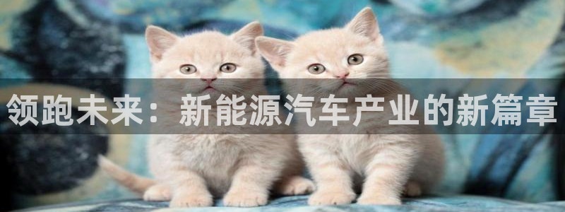 新宝gg龙虎规则:领跑未来:新能源汽车产业的新篇章