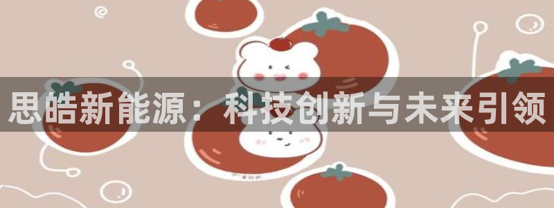 新宝GG链接:思皓新能源:科技创新与未来引领