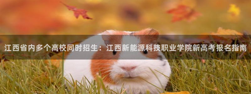 新宝gg直属上级