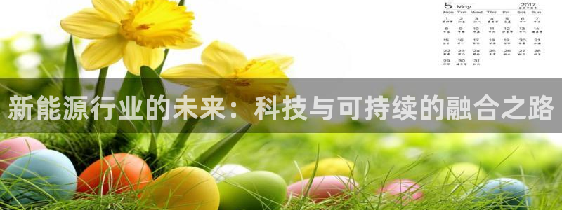 新宝gg 502：新能源行业的未来：科技
