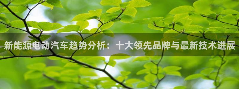 新宝gg真的能赚钱么：新能源电动汽车趋势