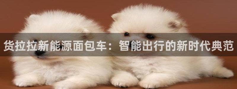 网站是新宝gg:货拉拉新能源面包车:智能出行的新时代典范