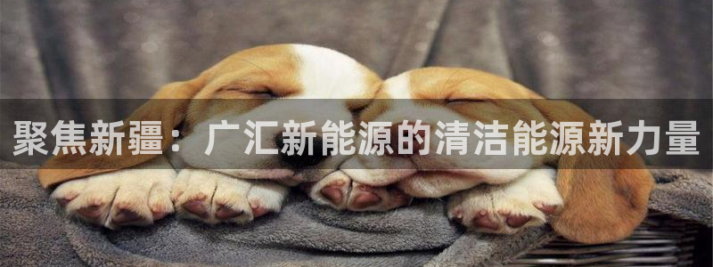 新宝gg娱乐登录地址:聚焦新疆:广汇新能源的清洁能源新力量