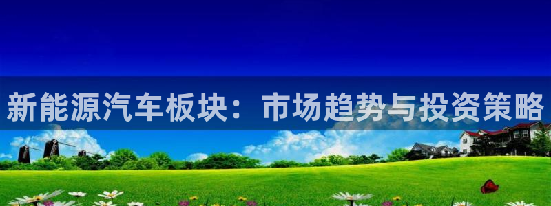 新宝gg怎么做代理：新能源汽车板块：市场