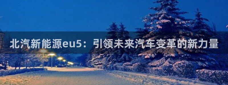 新宝gg真的能赚钱么：北汽新能源eu5：