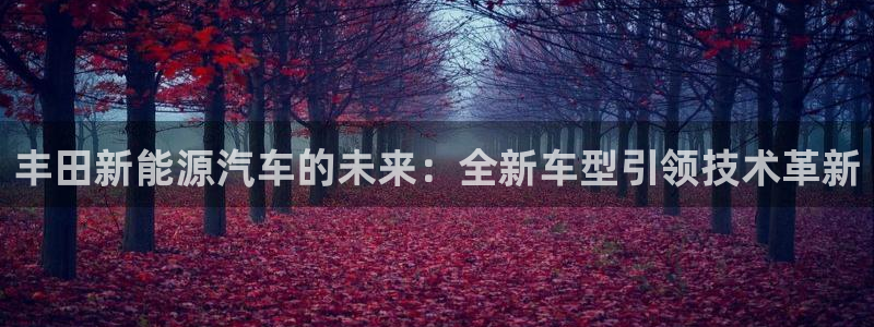 新宝皇冠gg:丰田新能源汽车的未来:全新车型引领技术革新