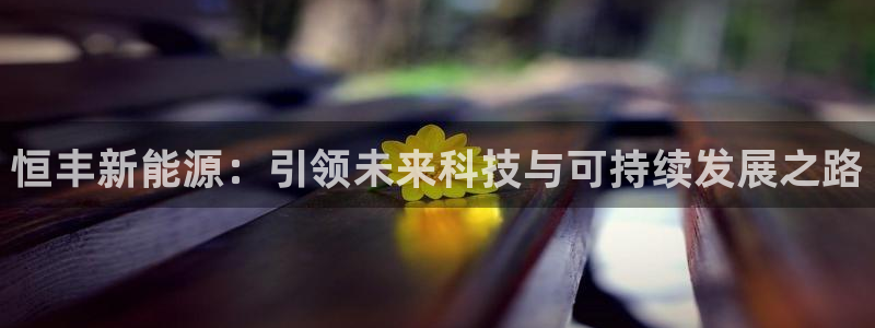 新宝 -gg登录：恒丰新能源：引领未来科