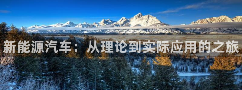新宝gg有假吗